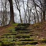 Harzvorland-auszeit Für Zwei&1 Hund&natur Inklusive Apartment Harsleben