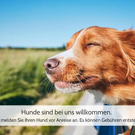 Apartment Harzvorland-auszeit Für Zwei&1 Hund&natur Inklusive Harsleben