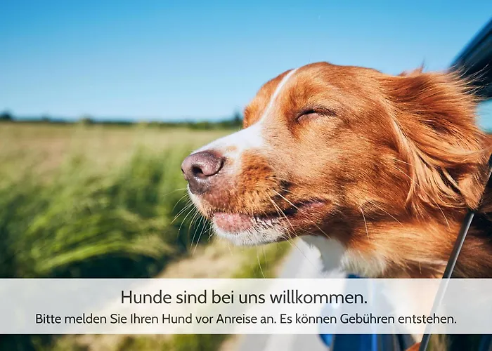 Lägenhet Harzvorland-auszeit Fuer 2 & Hund & Inklusive Harsleben